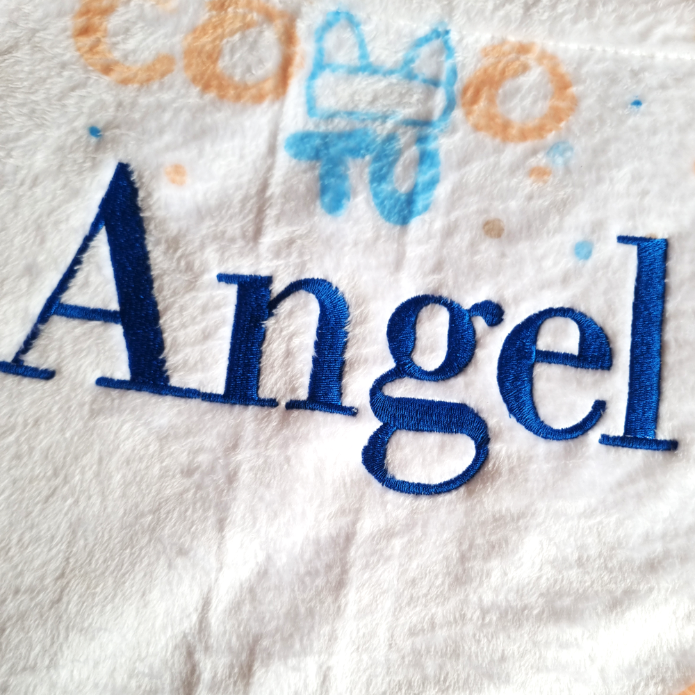 Dino edition growth blanket personalized